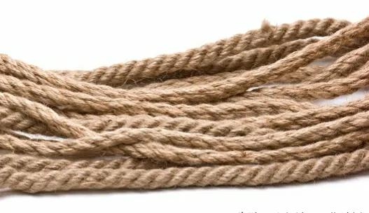 1699835171104988.jpg 2.jpg