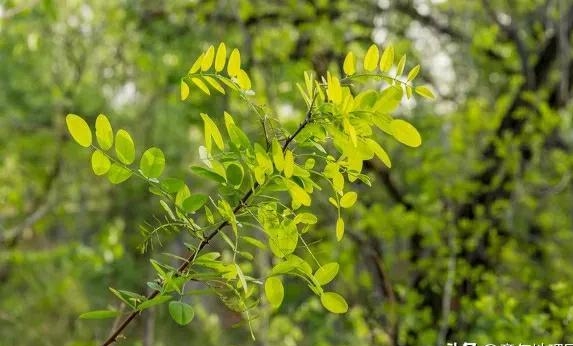 1699835201457642.jpg 3.jpg