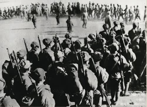 1703310783563286.jpg 1703310783563286.jpg