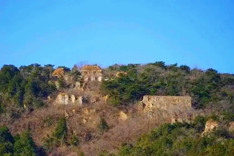 1703787070130338.jpg src=p2.itc.cn_q_70_images03_20231016_1299198653304c3c909d522232c9c777.jpeg&refer=http___www.baidu_副本.jpg