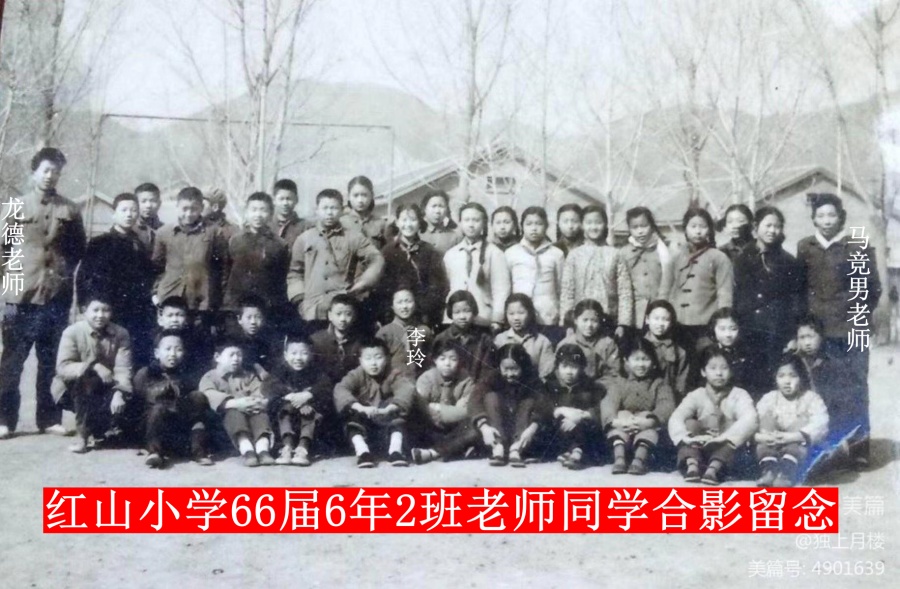 1703787169129960.jpg 微信图片_20231206145609_副本.jpg