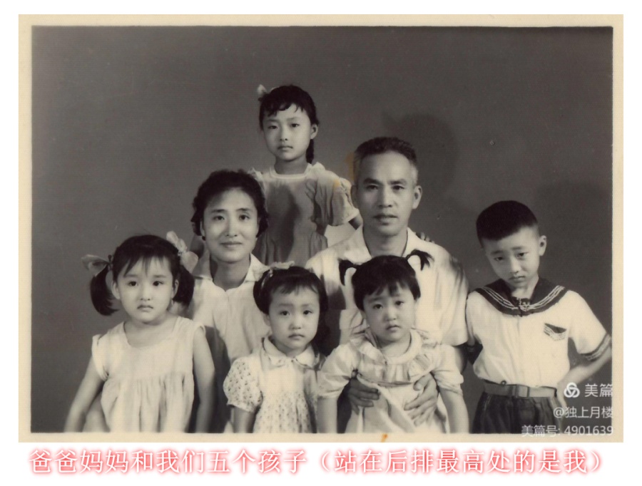 1703856623101817.jpg 微信图片_20231227222857_副本.jpg