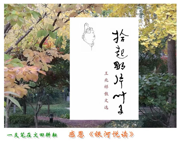 1705149936127550.jpg 02.jpg