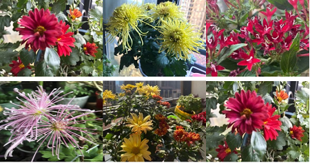 1705716894104696.png 微信图片_20240120101411.png