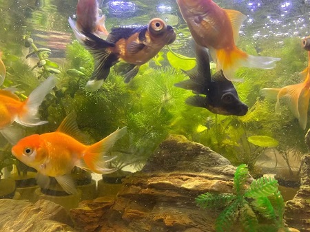 1705716949121349.jpg 微信图片_20240120100731.jpg