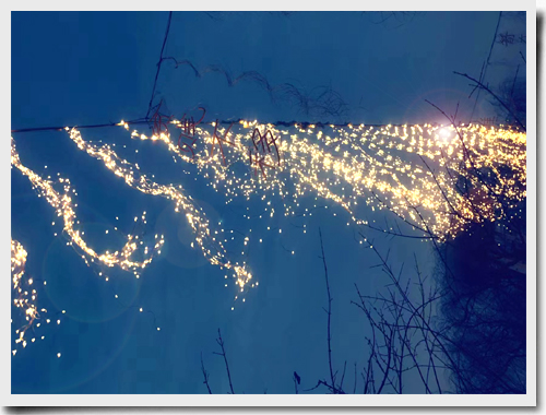 1706160812172128.jpg 只言片语02.jpg